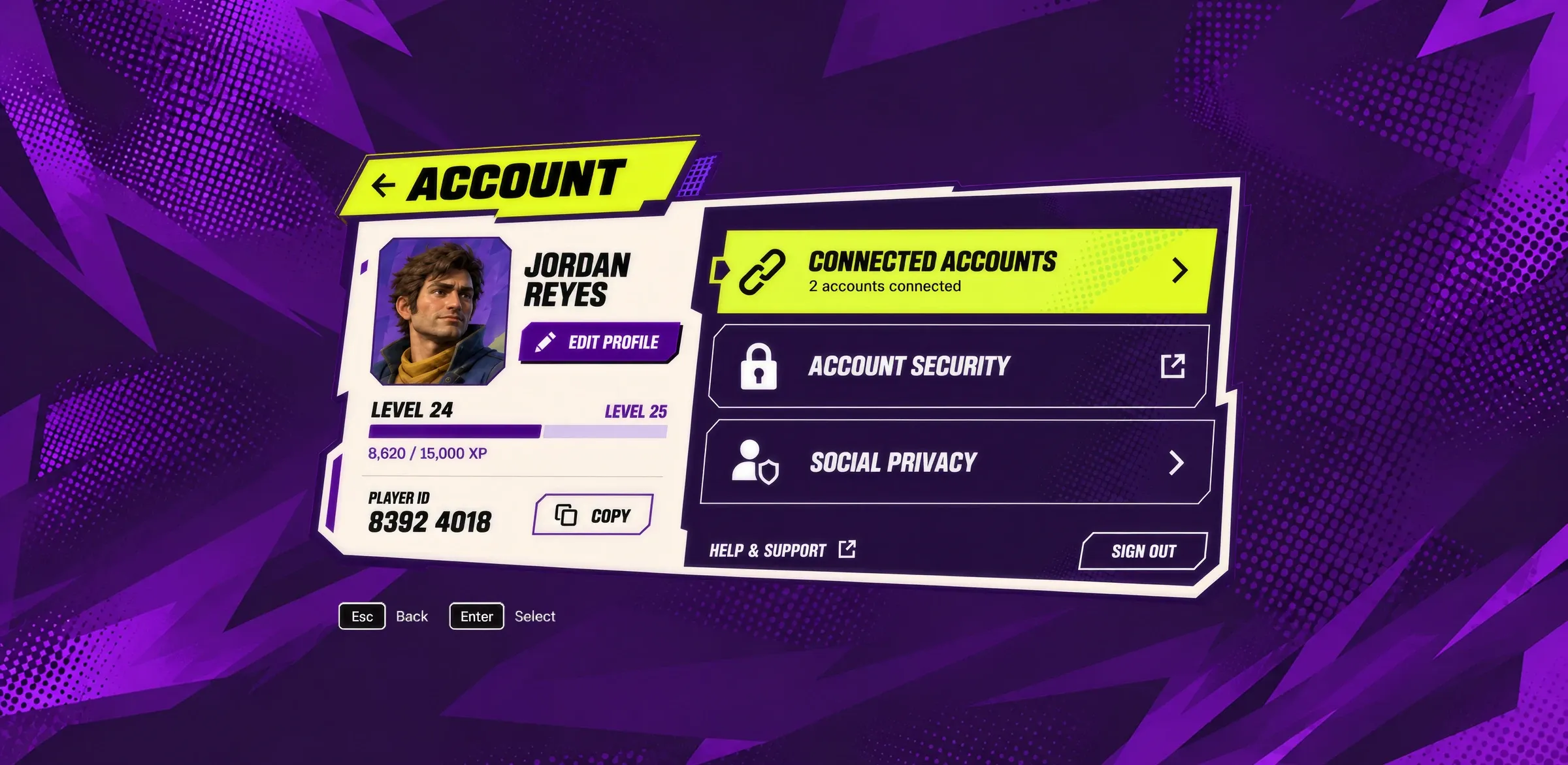 Player account screen with profile, level, connected accounts, security, and privacy settings