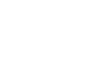 Timi Studios